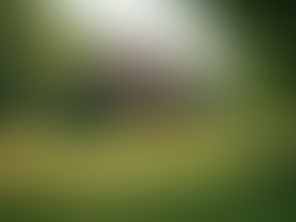 Discover Stunning Rural Holiday Homes in the UK