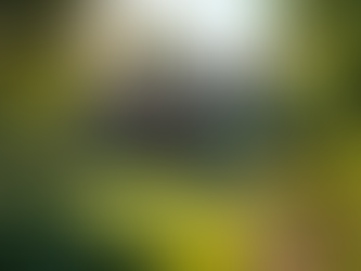 Explore Unique Landscapes with Heritage Holiday Homes