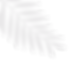 imagen (5).png