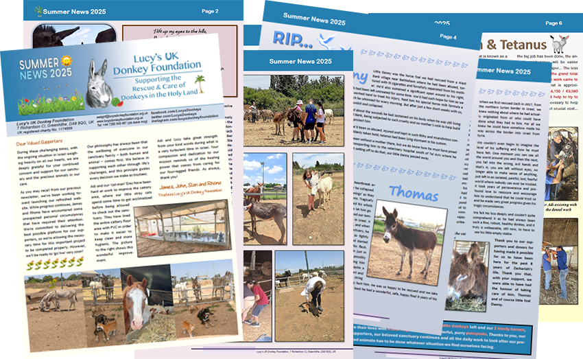 Our Summer 2025 Newsletter is out!