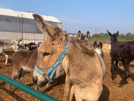 🙏🏼♥️ To all our dear supporters ♥️🙏🏼