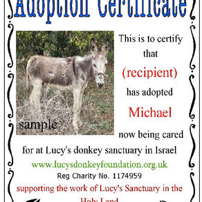 Adopt-a-Donkey and Gift Certificates