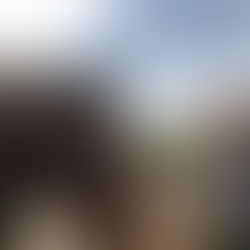 Treats day at Lucy's sanctuary