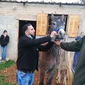 Our outreach clinic in the Palestinian village of Amoria