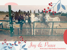 Happy Holidays!