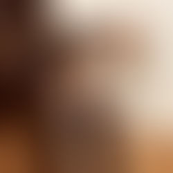 Lucy's sanctuary donkeys at night