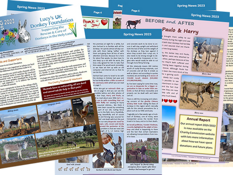 Our Spring 2023 Newsletter is out!