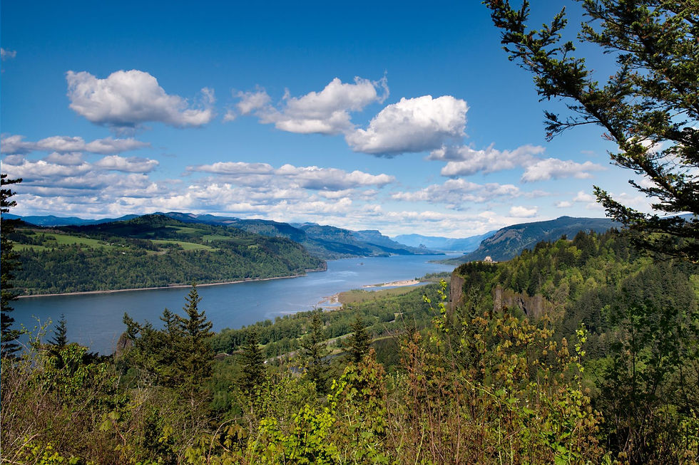 Scenic view of a lush green valley with a winding river, surrounded by forested hills and a bright blue sky with fluffy clouds.
