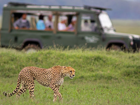 Which Guided Tour Style Fits You Best?