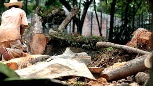 Indígenas de Yucatán levantan la voz contra proyectos
