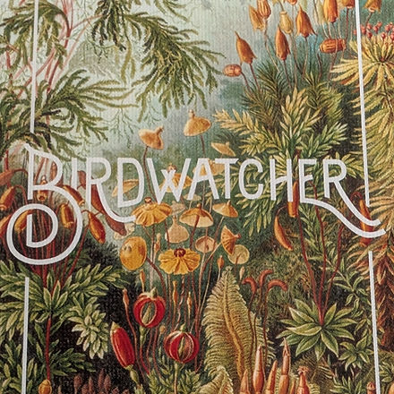 Birdwatcher the board game box
