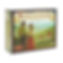 Viticulture the essentials edition