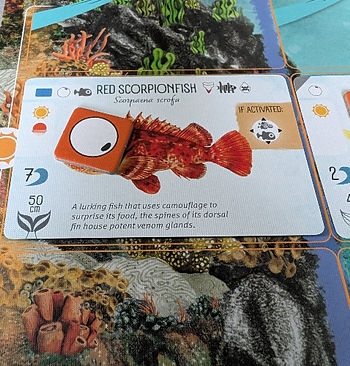 The red scorpion fish from Finspan