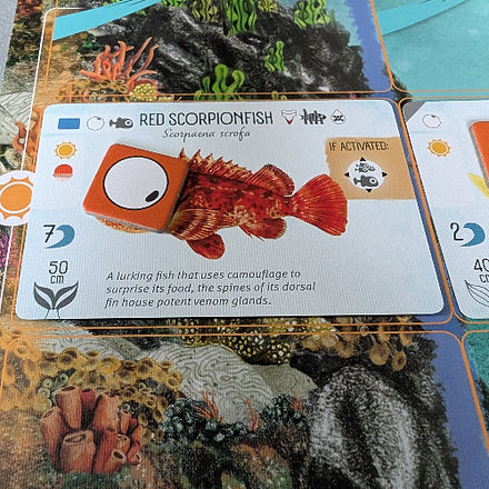 Finspan a quick and easy board game