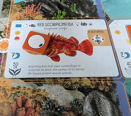 Finspan a quick and easy board game