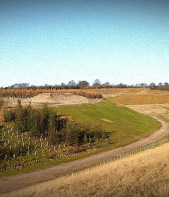 Pickering Landing Page Image_edited_edit