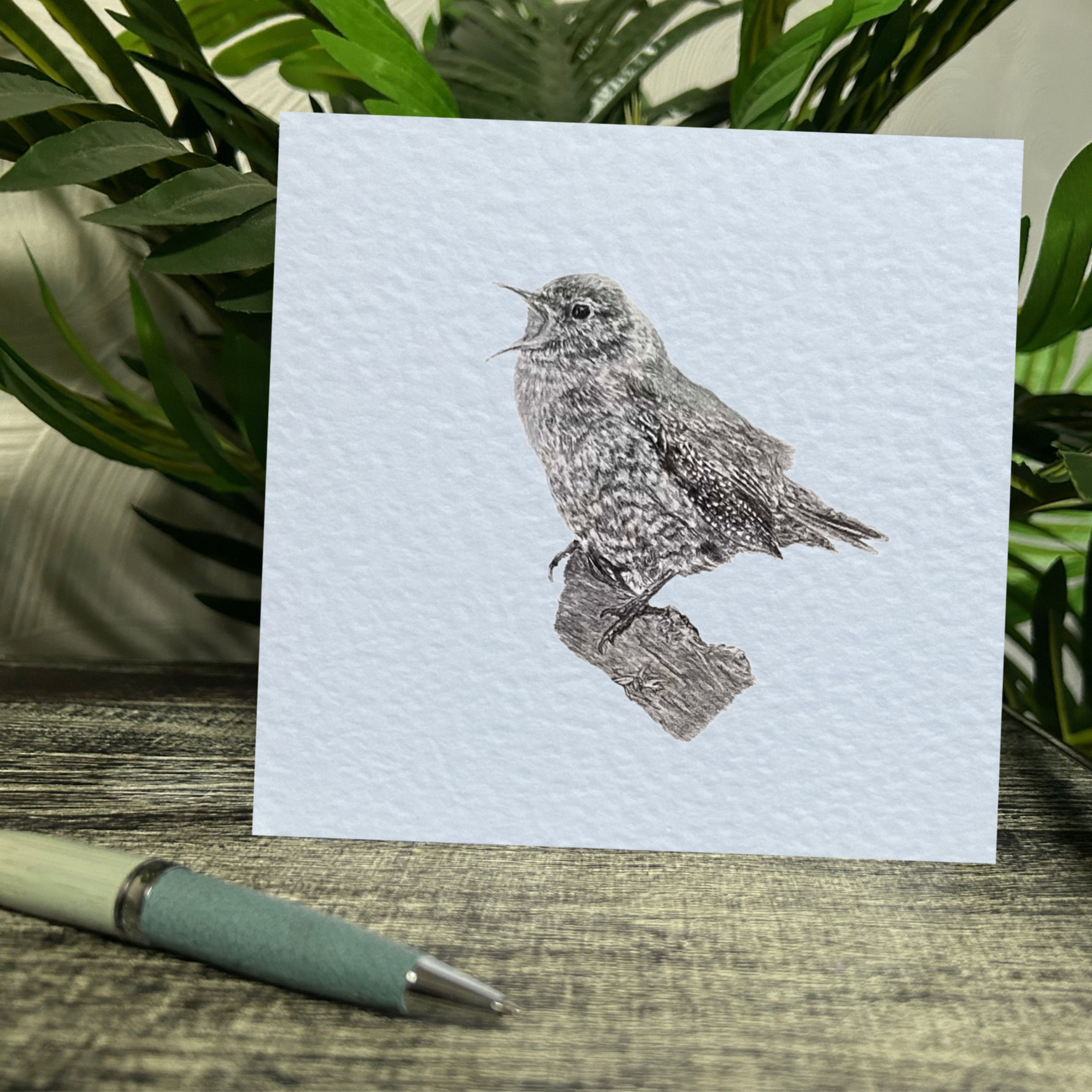 Wren Greetings Card