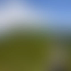 Entre pas lents et plats chauds : le Sancy en amoureux