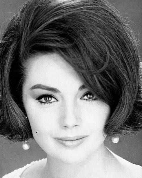 SYLVA KOSCINA