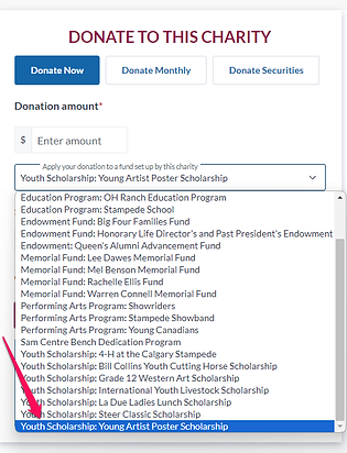 Calgary_StampedeFoundation-2.png