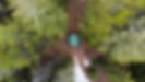 dji_fly_20240519_134044_174_1716151251138_photo_optimized.jpg