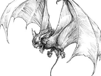 Finn's Journal #16 - Singing Bats and Lost Children