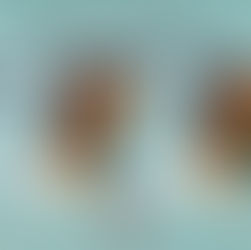 Nevertheless, Nancy Persisted: Carter Vail drops New Single “Nancy Again”