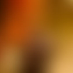 Squid LA Show Gallery