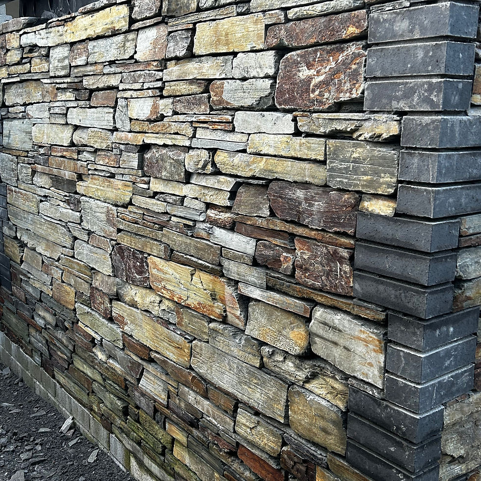 20250103_155858815_iOS_edited