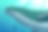 JULY-protected-intensity-LOW-V2.png