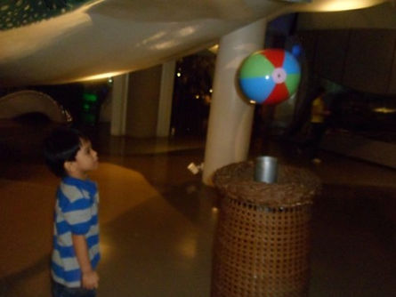 H-Field Trip Mind Museum 01.jpg