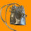 Miniaturbild: NONA