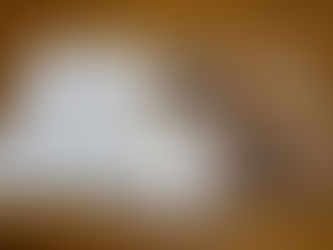 少林寺拳法旭川東道院絵本読み聞かせ新プロジェクトX今回は‼️