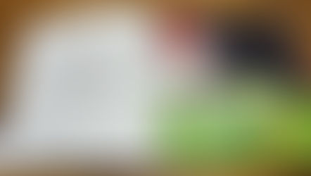 少林寺拳法旭川東道院絵本読み聞かせ新プロジェクトX今回は‼️