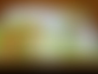 少林寺拳法旭川東道院絵本読み聞かせ新プロジェクトX今回は‼️