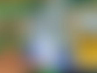 少林寺拳法旭川東道院絵本読み聞かせ新プロジェクトX今回は‼️