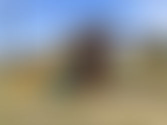 Playground for families at monthly RV sites near Fort Worth – peaceful extended stay RV park Parker County