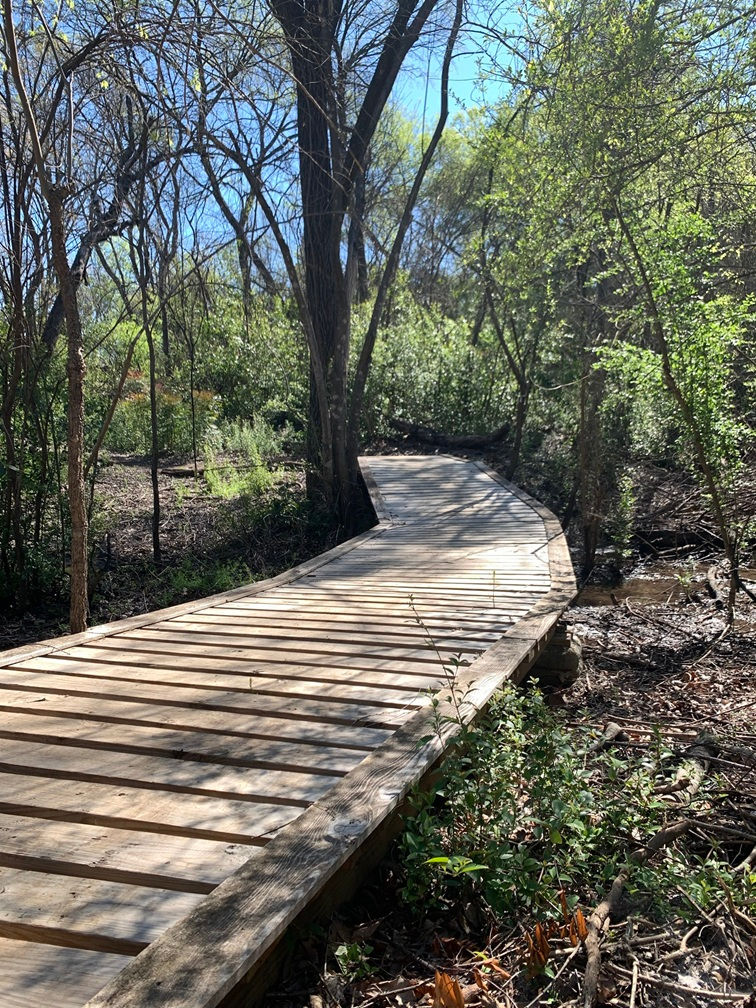 Chandor Gardens, not far from FM 51 near Lonestar 23 RV Park in spring – perfect for RV living in Weatherford TX