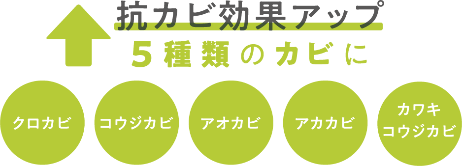 バイオ 防カビ カビ アカカビ