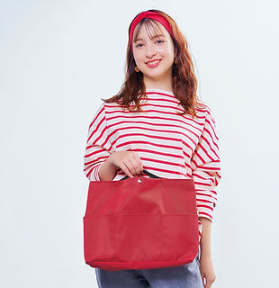 フライヤーすっぽりバッグインバッグ　イメージ写真