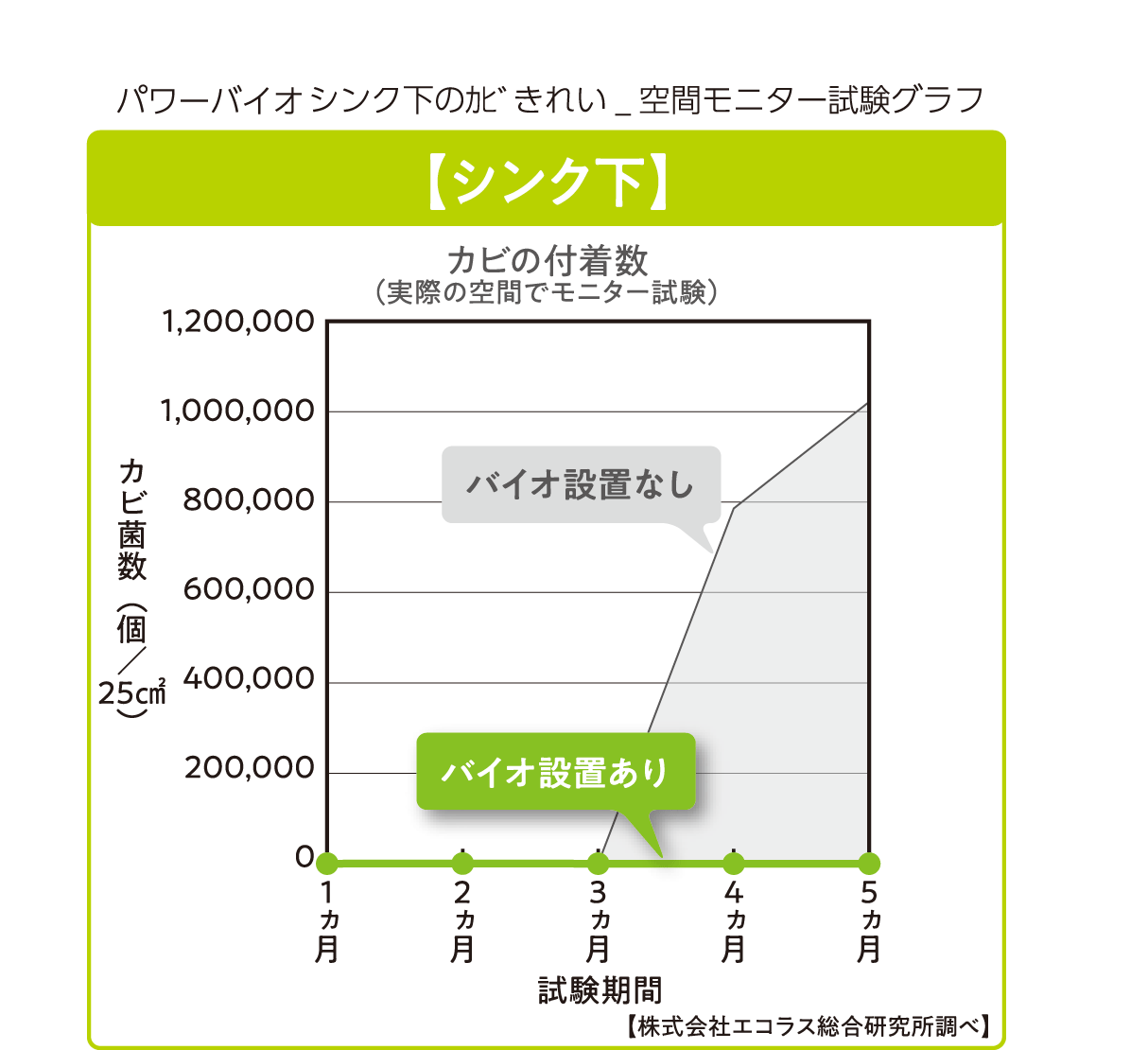 コジットバイオ バイオ