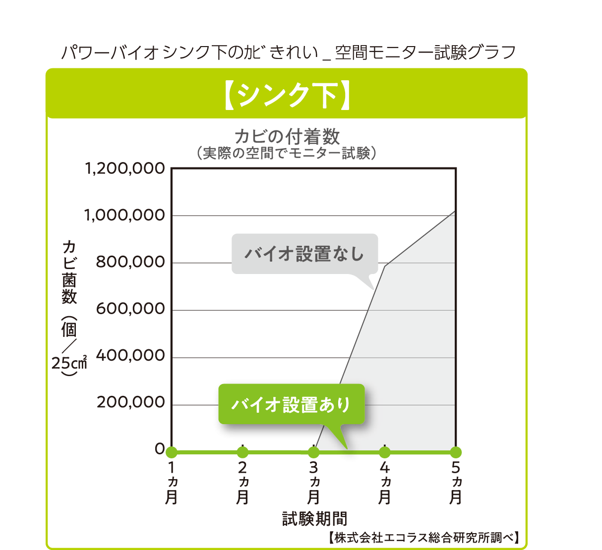 コジットバイオ　バイオ