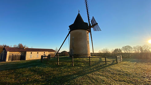 IMG_4886.jpg