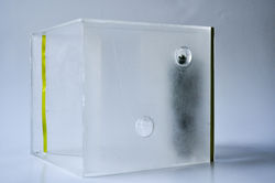 MossBox