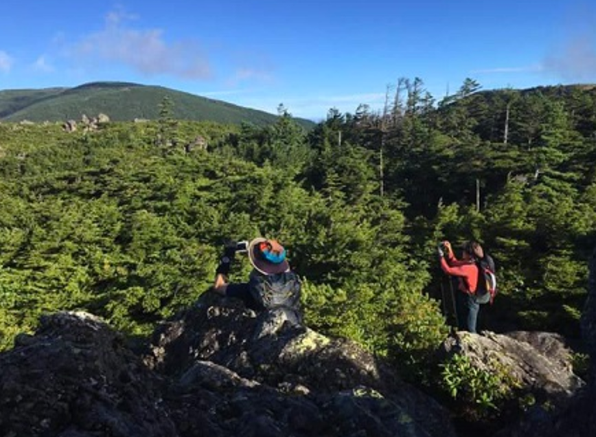 天狗の露地を登り、大岩経由で北横岳に向かう。
