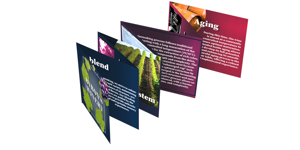 DEPLIANT 100 X 100 piegato vini