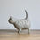 Thumbnail: Patterned grey cat