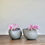 Thumbnail: Pebble vessel