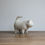 Thumbnail: Small sandy cat