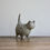 Thumbnail: Patterned grey cat